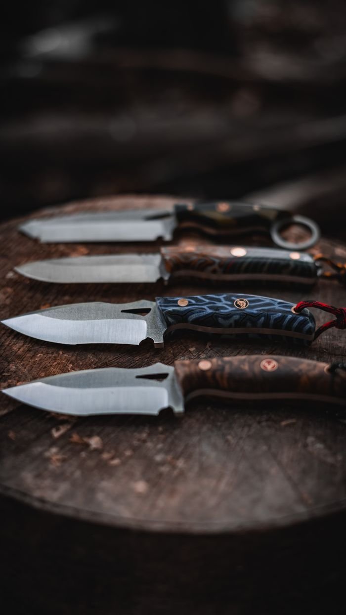 A close-up view of a collection of knives placed on a tree stump outdoors in a forest setting.